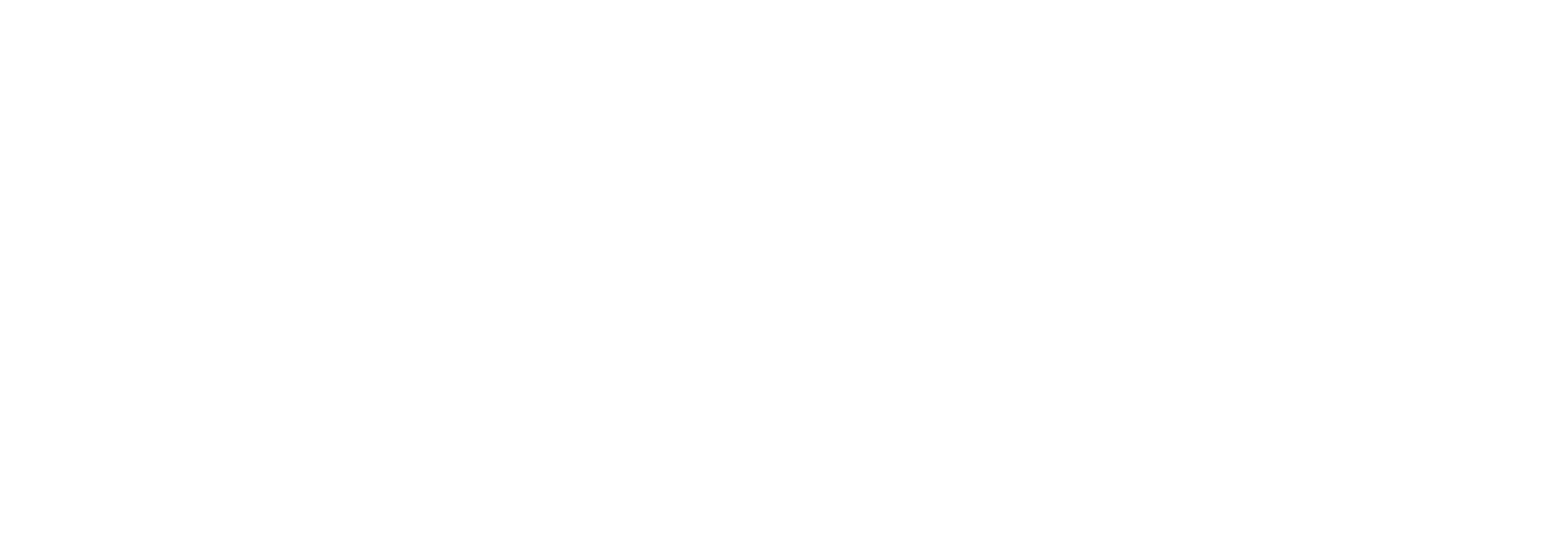 Logo BullPrime